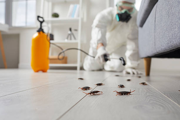 Commercial Kitchen Cockroach Control in Truman
